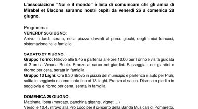 immagine dell'articolo