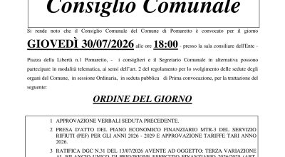 immagine dell'articolo