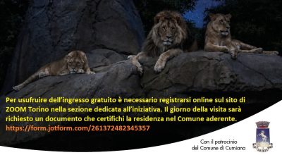 immagine dell'articolo