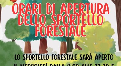immagine dell'articolo