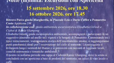 immagine dell'articolo