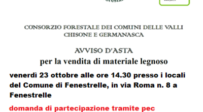 immagine dell'articolo