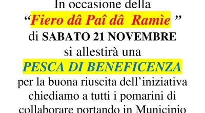 immagine dell'articolo