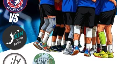 immagine dell'articolo