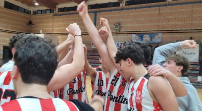 immagine dell'articolo