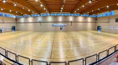 immagine dell'articolo