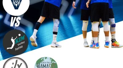 immagine dell'articolo