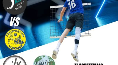 immagine dell'articolo