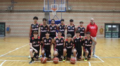 immagine dell'articolo