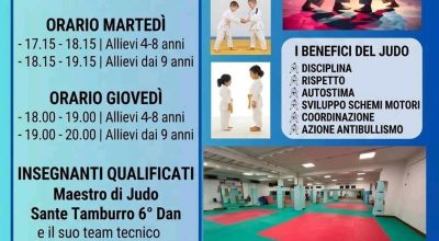 immagine dell'articolo