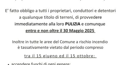 immagine dell'articolo