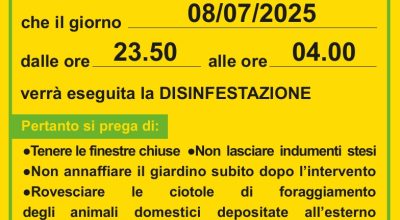 immagine dell'articolo