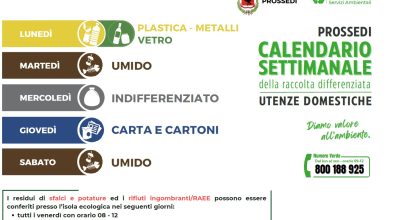 immagine dell'articolo