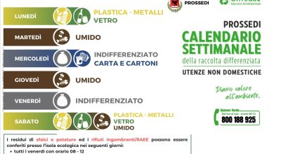 immagine dell'articolo