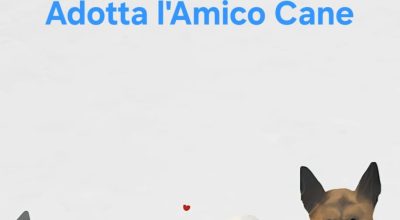 immagine dell'articolo