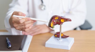 immagine dell'articolo