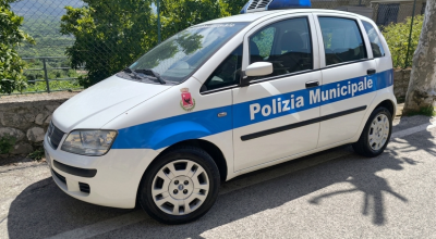 immagine dell'articolo