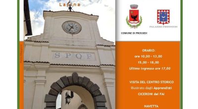 immagine dell'articolo