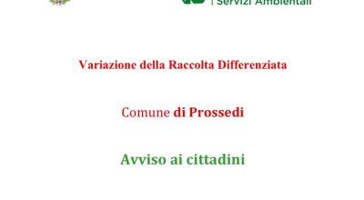 immagine dell'articolo