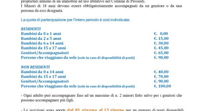 immagine dell'articolo