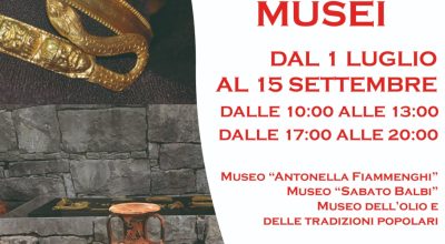 immagine dell'articolo