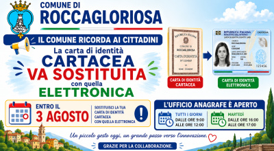 immagine dell'articolo