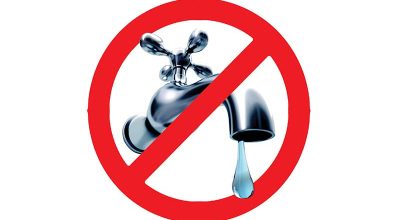 immagine dell'articolo