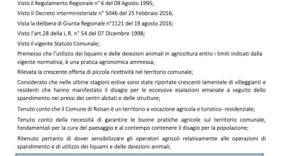 immagine dell'articolo