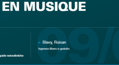 immagine dell'articolo