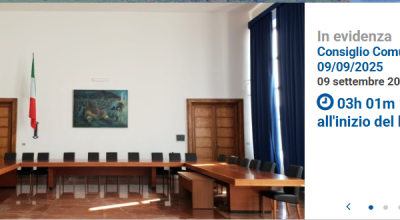 immagine dell'articolo