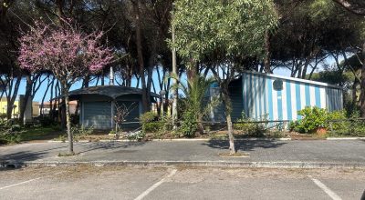 immagine dell'articolo