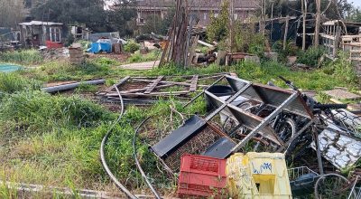 immagine dell'articolo