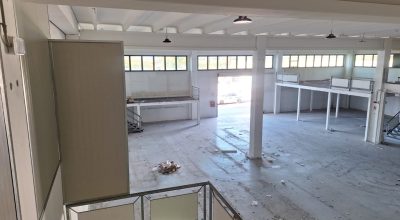 immagine dell'articolo