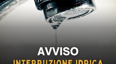 immagine dell'articolo