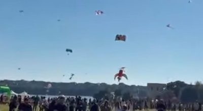 immagine dell'articolo