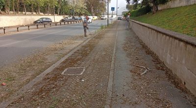 immagine dell'articolo