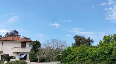 immagine dell'articolo