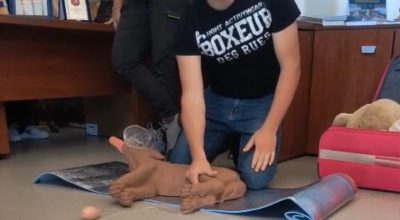 immagine dell'articolo