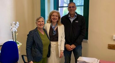 immagine dell'articolo