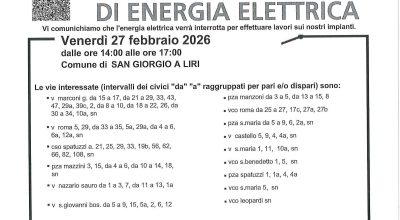 immagine dell'articolo