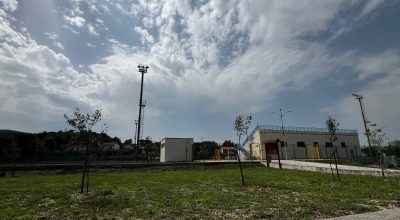 immagine dell'articolo