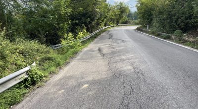 immagine dell'articolo