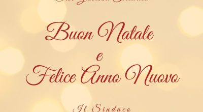 immagine dell'articolo