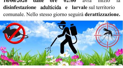 immagine dell'articolo