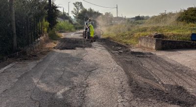 immagine dell'articolo