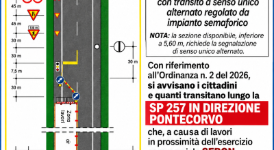 immagine dell'articolo
