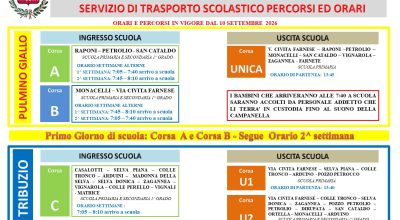 immagine dell'articolo