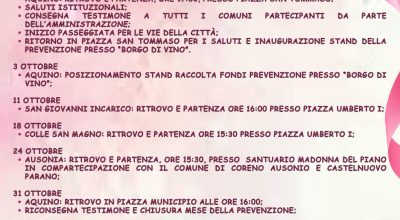 immagine dell'articolo