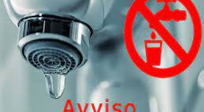 immagine dell'articolo