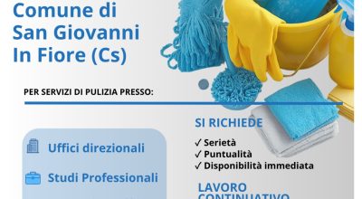 immagine dell'articolo